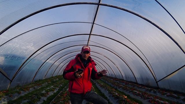 Метеостанция "Davis Vantage Pro2 + Weatherlink Live" смотреть онлайн