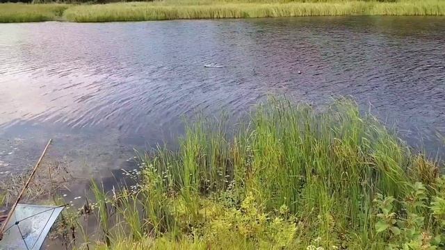 Готовимся к рыбалке.Река ?♂️ смотреть онлайн