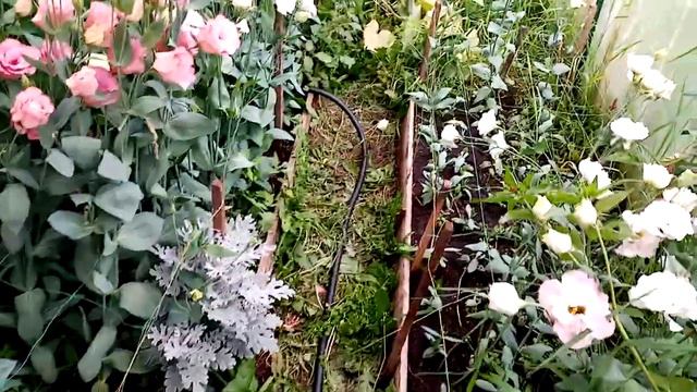 Секреты лучшей срезки(перезалив видео) смотреть онлайн