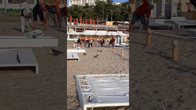 Одесса 2019/Что кушает Чайки?! смотреть онлайн