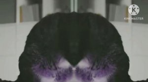 Kitekat Kotophoto Effects (Inspired By Kids Shark Bus Driver For Speed Patrol Good Csupo Effects)