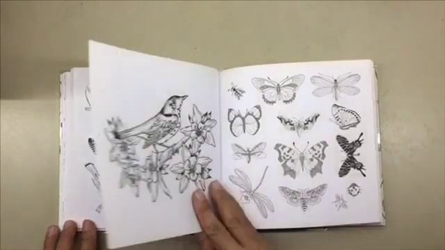 Flip Through | Magical Garden Coloring Book: Create Your World by New Holland Publishers смотреть онлайн