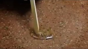 Как заделать скол