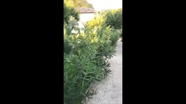 Антикварный шоппинг. Репортаж Нади Зотовой из L'Isle-sur-la-Sorgue смотреть онлайн