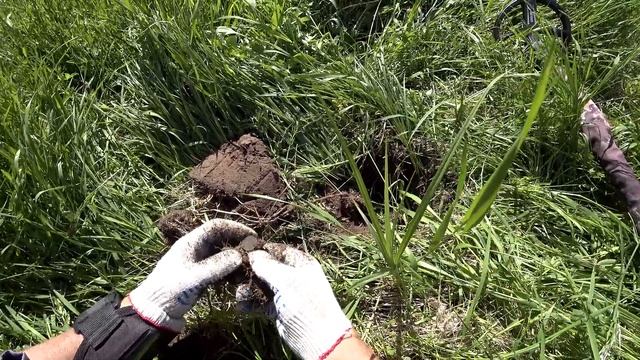 Коп с XP Deus. Лучше поздно, чем никогда. смотреть онлайн
