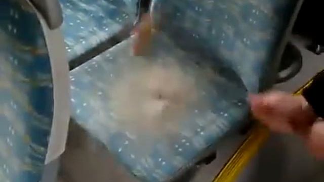 Сиденья в общественном транспорте смотреть онлайн