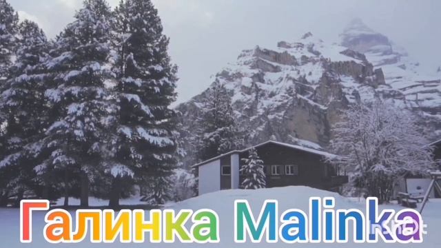 Ольга Уралочка live /Мотай на ус /Забыл где лапти снял? /Обзор Влогов /Уралочка и Сафар / смотреть онлайн