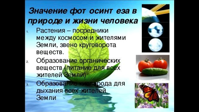 14. Воздушное питание растений - фотосинтез. Биология. 6 класс Пономарева. Краткий пересказ. смотреть онлайн