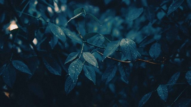 Звуки дождя, успокаивающая фортепианная музыка. Расслабляющая музыка. Часть 9.mp4 смотреть онлайн