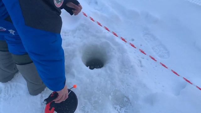 Рыбалка в Красногорске.BigCarp.Ловля форели.Рыбалка на платнике.Беседки,отдых,рыбалка,досуг. смотреть онлайн