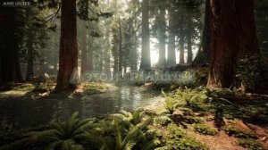 Как украсить комнату в стиле goblincore ?