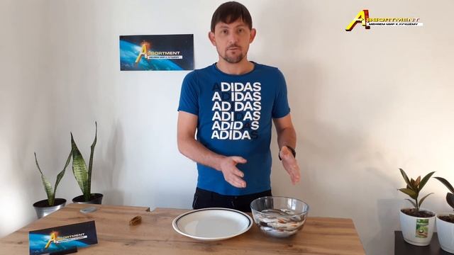 Как сделать вяленую рыбу. Простая и самая вкусная засолка тарани, плотвы. Рецепт за 5 дней. смотреть онлайн