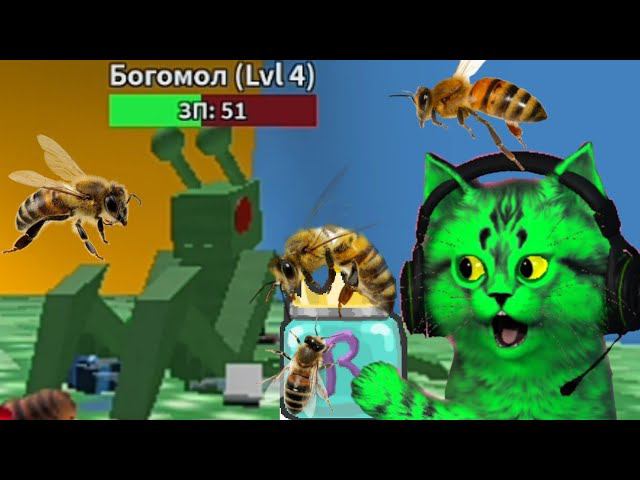 Кот пчеловод! роблокс симулятор пчелиного роя симулятор пчеловода roblox bee swarm simulator смотреть онлайн