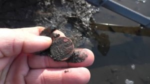 Весна 2022.Поиск монет в русле. Когда Уровень воды в древней реке упал.Находки со дна реки.