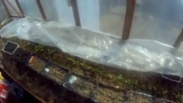 23 апреля посадка редиски на севере дача под Архангельском смотреть онлайн