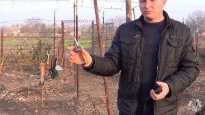 Лучшие инструменты для обрезки Винограда! Обзор секаторов