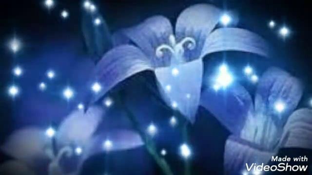 Добрый вечер! Пусть вечер превратится в сказку!