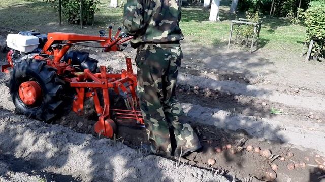 Копалка КФТ2, мотоблок МТЗ kopaczka do ziemniaków, walk behind tractor, potato digger machine in BY смотреть онлайн