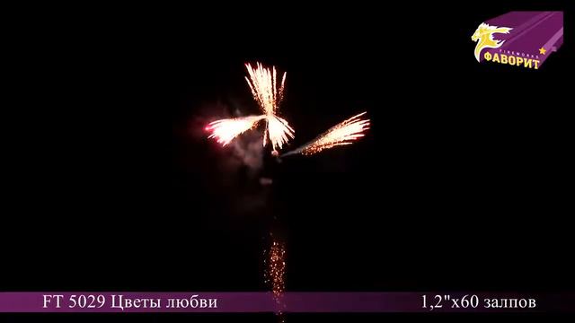 FT5029/1 Цветы любви смотреть онлайн