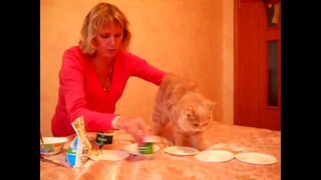 Среди других молочных продуктов кошка выбирает симбионты Кутушова смотреть онлайн