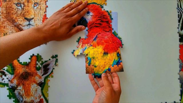Exotic Animals - Jigsaw Puzzle TREFL смотреть онлайн