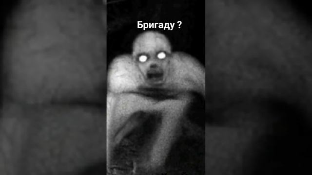 пиши в ком дать бригаду или нет смотреть онлайн