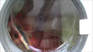 Lavasciuga Ariston Margherita AI858CTX