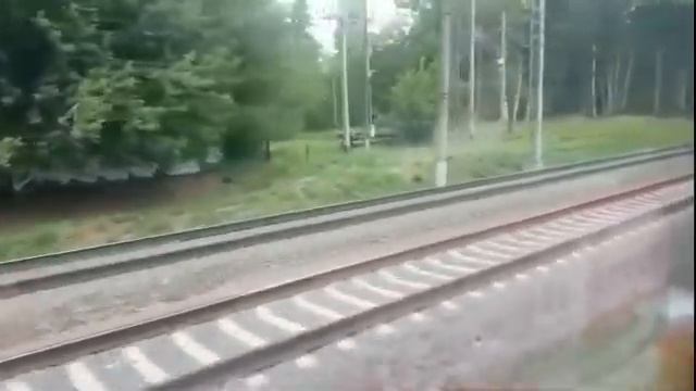 Поездка на поезде от Москвы до Берендеево смотреть онлайн