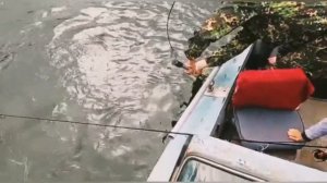 ЩУКА МОНСТР (7 КГ.) Красноярское водохранилище (Огурский залив), рыбалка август 2020.