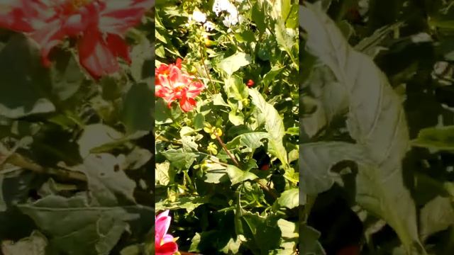 Дача в рублево