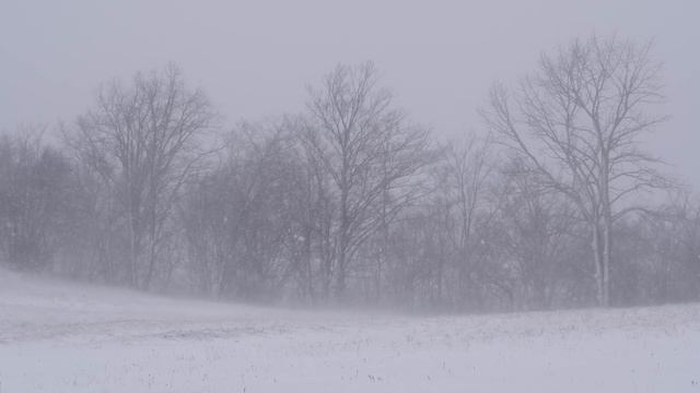 Snow Blizzard Relaxing Wind Sounds 2 Hours / Strong Winds Blowing Snow (Relax, Sleep, Study,...) смотреть онлайн
