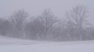 Snow Blizzard Relaxing Wind Sounds 2 Hours / Strong Winds Blowing Snow (Relax, Sleep, Study,...)