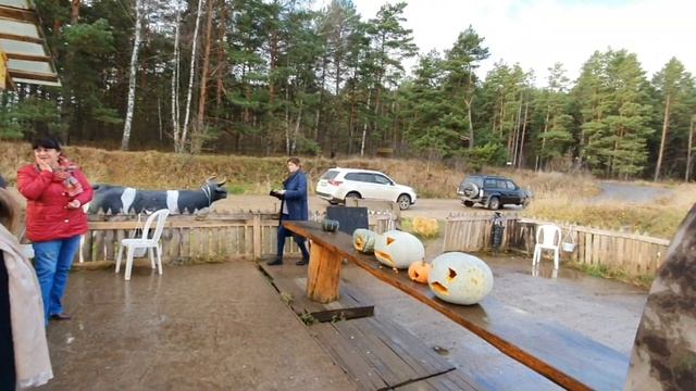 Лайф 7 ноября смотреть онлайн