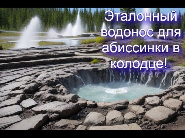 д Беклемишево, СНТ Юнона, колодец с эталонным водоносом для абиссинской скважины! смотреть онлайн