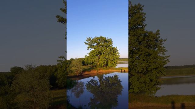 Нет ничего прекраснее природы. И игры пчеловода ха-ха)))) смотреть онлайн