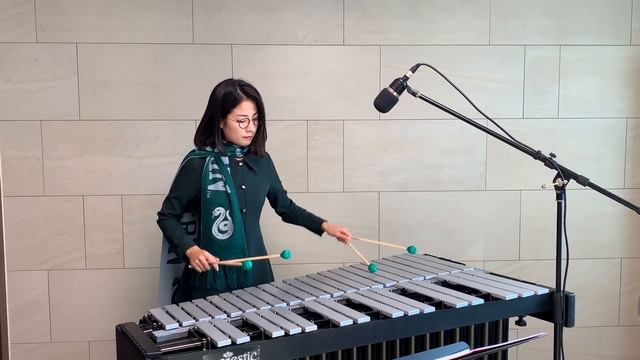Harry Potter - Hegwid's Theme / Vibraphone Cover