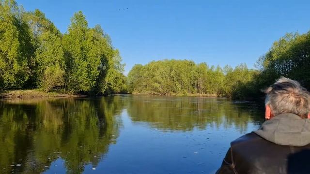 Тест драйв SOLAR 450 +SUZUKI 30 лс водомёт. смотреть онлайн