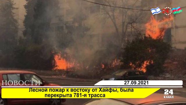 Лесной пожар к востоку от Хайфы, была перекрыта 781 я трасса смотреть онлайн
