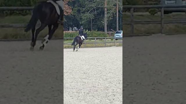 Мои Гурзуф и Анечка Юрьева. КСК "АЛМАЗОВО", маршрут-90, 1 место!!! смотреть онлайн