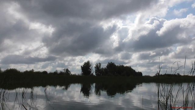 Погода не в рыбу смотреть онлайн