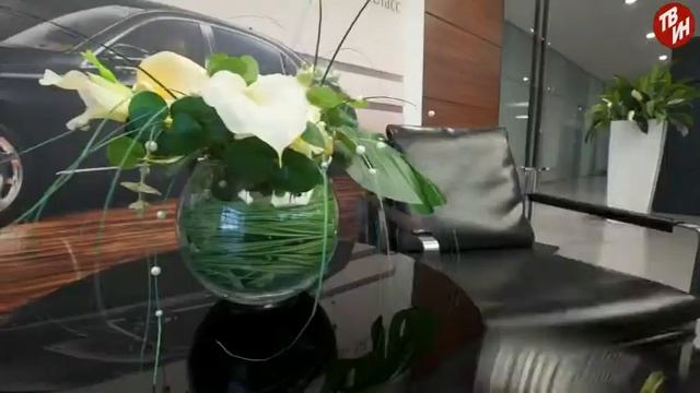 Бюро дизайна и ремонта Эфир: 14-11-2017 смотреть онлайн