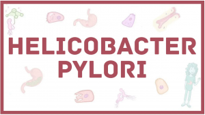 Helicobacter pylori - хеликобактер - симптомы, диагностика, лечение, микробиология