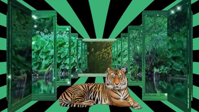 ЗЕРКАЛЬНЫЙ ФУТАЖ С ТИГРОМ. смотреть онлайн