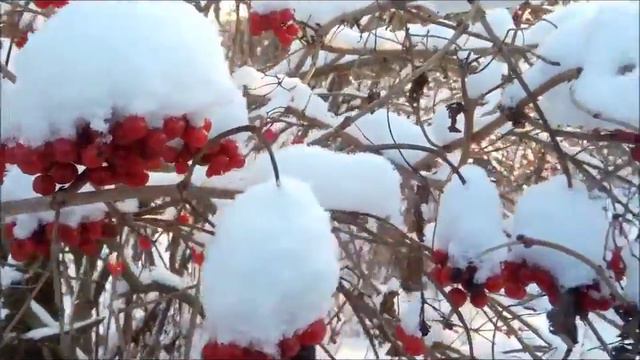 Калина красная смотреть онлайн