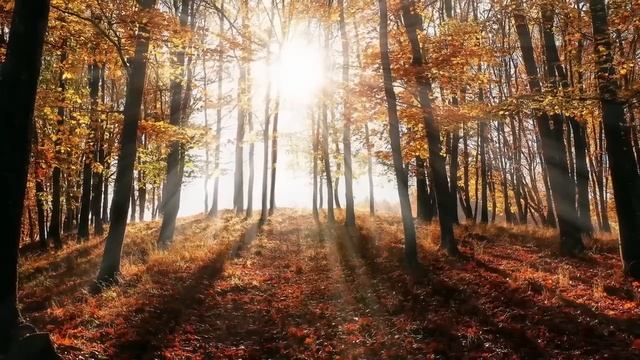 Свекровь исподтишка обижала меня при муже пытаясь нас развести я терпела но однажды...