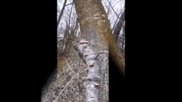 Рыбалочка смотреть онлайн