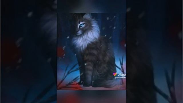 3 главных злодеев из КВ Звездоцап, Коршун, Звездолом! смотреть онлайн