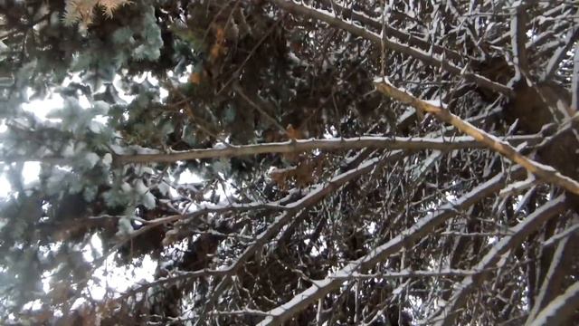 ☃Волшебная зима☃ Magic winter ❊ смотреть онлайн