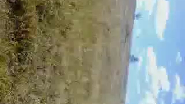 Волокуша на мотоблок смотреть онлайн