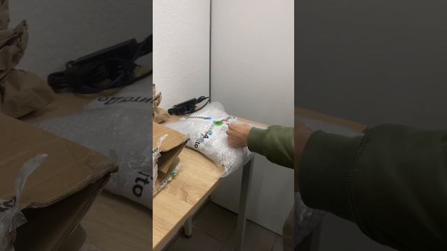 31 октября 2023 г. смотреть онлайн